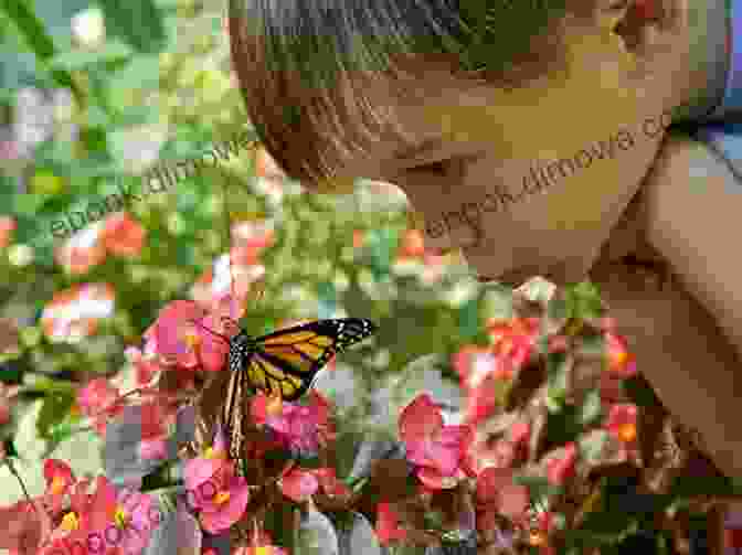 A Child Gazing Curiously At A Butterfly In A Field Learning From Children Owen Jones