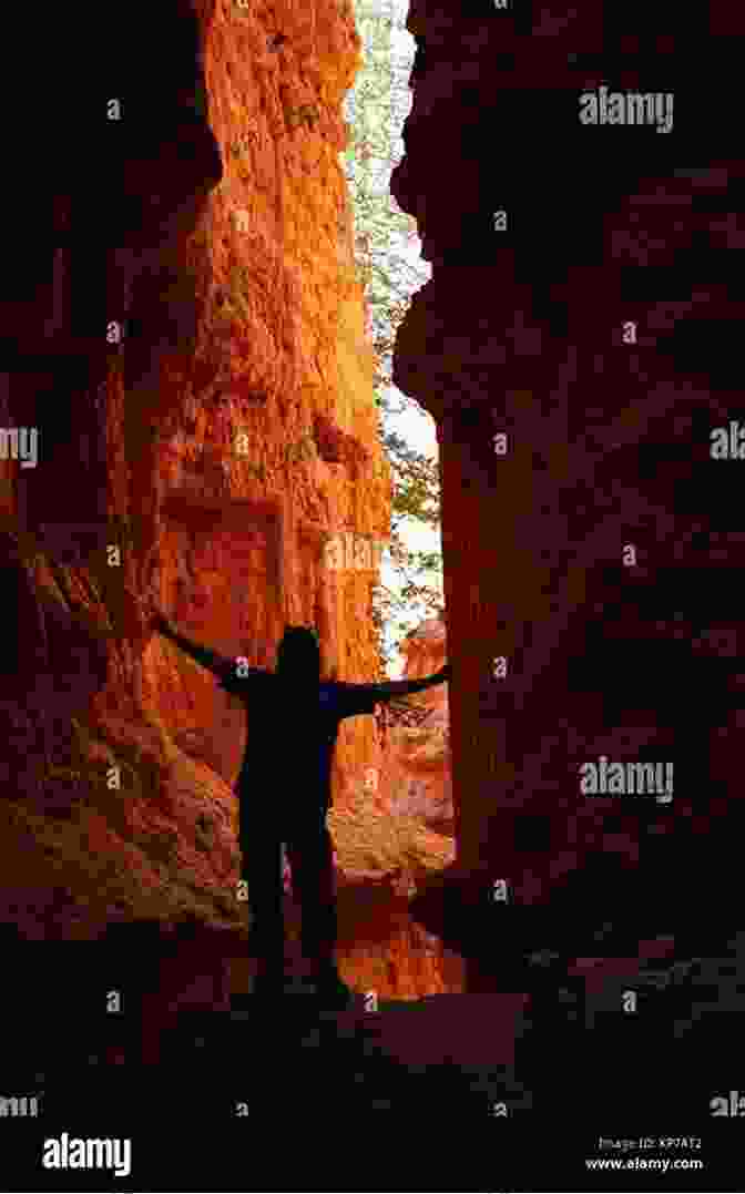 A Hiker Traversing A Narrow Trail Along The Edge Of A Canyon, Surrounded By Colorful Rock Formations Grand Canyon: Zion USA (Photo Book 141)