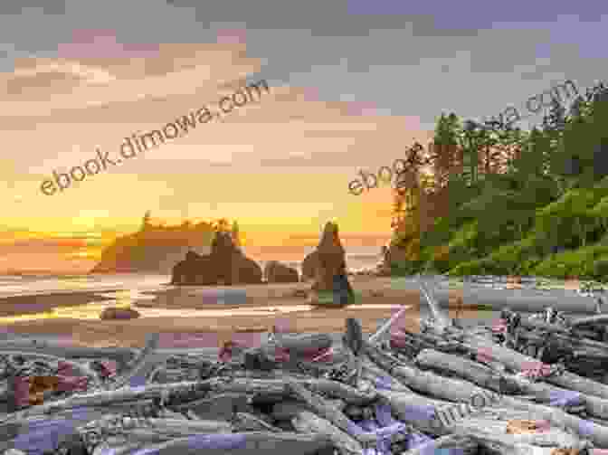 Rugged Coastline Of Olympic National Park, With Crashing Waves And Towering Sea Stacks. Yosemite Epics: Tales Of Adventure From America S Greatest Playground