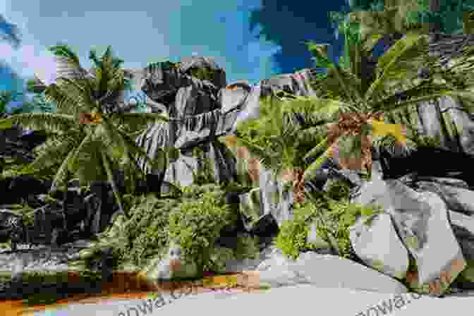 Seychelles Cove With Granite Boulders And Crystal Clear Water Mauritius Reunion Seychelles (Photo Book 11)