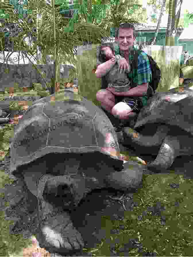 Seychelles Giant Tortoise Mauritius Reunion Seychelles (Photo Book 11)