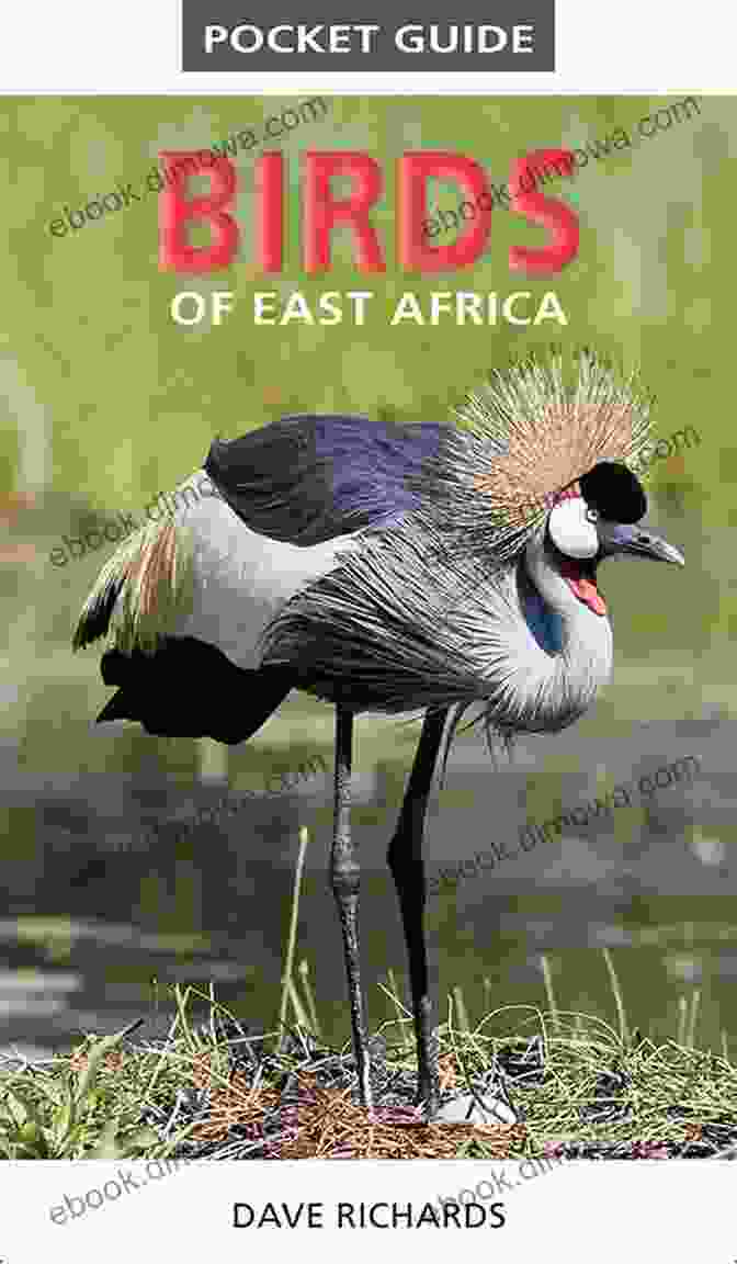 The Pocket Guide To West Africa, A Compact And Informative Travel Companion Pocket Guide To West Africa