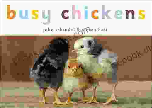 Busy Chickens (A Busy Book)