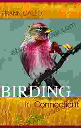 Birding In Connecticut (Garnet Books)