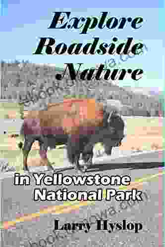 Explore Roadside Nature: in Yellowstone National Park