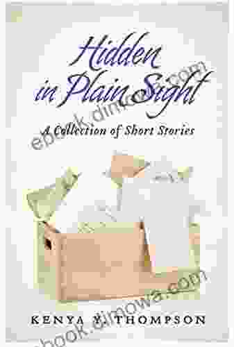 Hidden in Plain Sight K Y Thompson