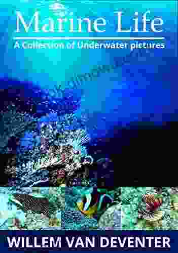 Marine Life : A Collection Of Underwater Pictures