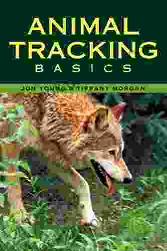 Animal Tracking Basics Jon Young