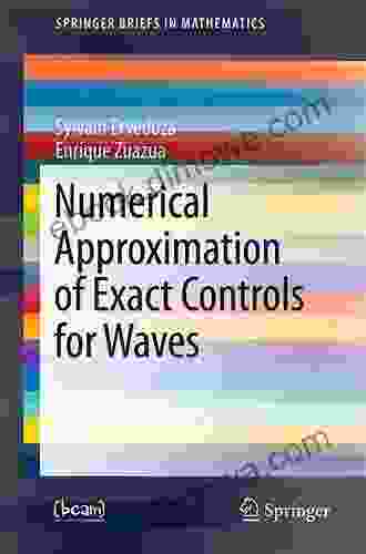 Numerical Approximation Of Exact Controls For Waves (SpringerBriefs In Mathematics)