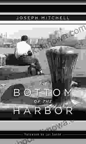 The Bottom Of The Harbor